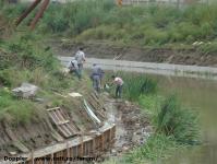 Imagine atasata: Bega - 2014.09.16 - 17.jpg